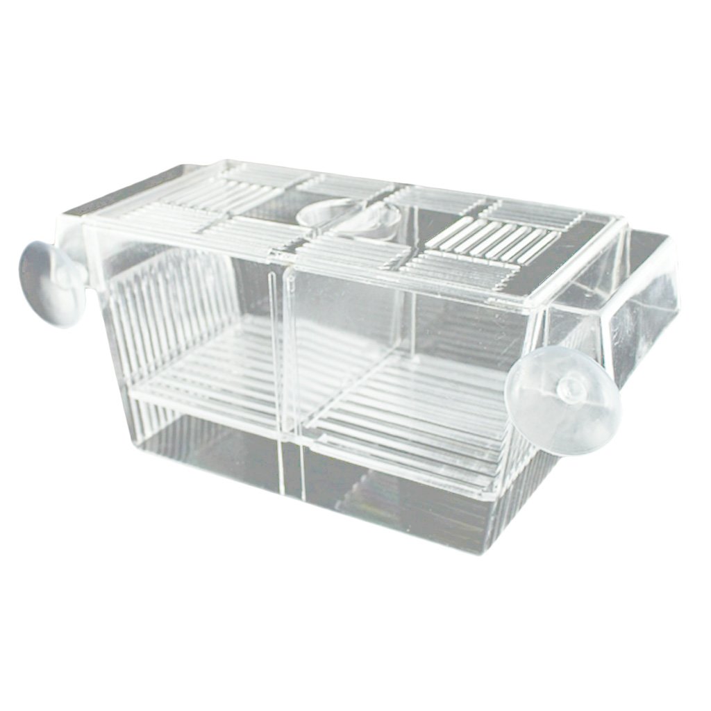 COMBR Self-Floating Fish Breeder Case Breeding Box for Aquarium Fish Tank Hatchery (B0922Z85WP) Amazon Price History, Amazon Price Tracker