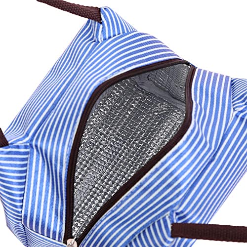 Image of Insulated Lunch Bag for Office, School, Men, Women, Hot & Cold Lunch Box, Tiffin Pouch (Blue Horizontal Strip Lunch Bag)