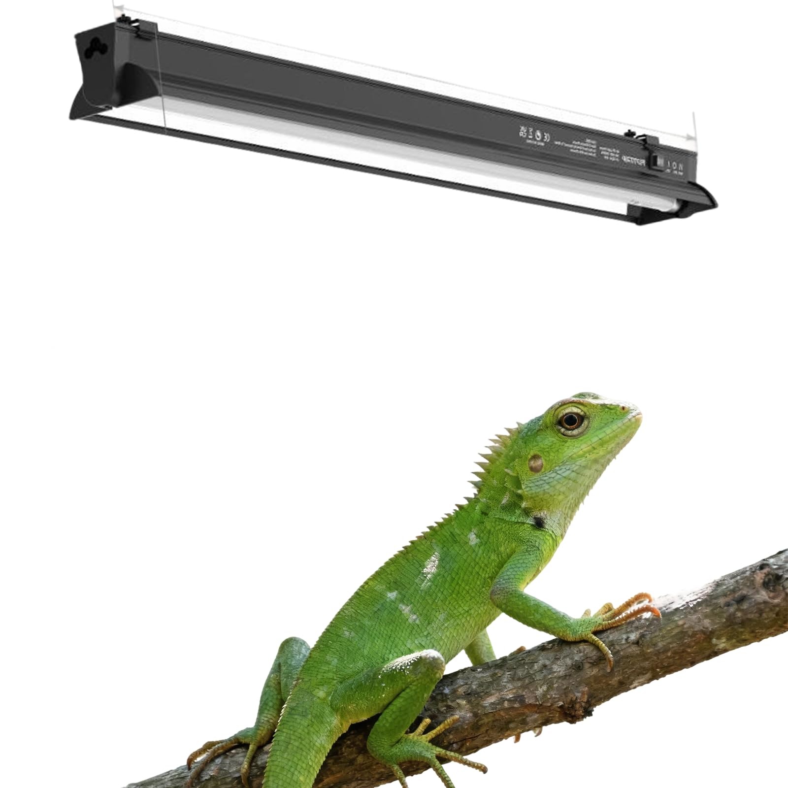 T5 HO UVB Lighting Kit, 8W Terrarium Hood with Detachable Curved Reflector, Desert 10.0 UVB T5 Lamp (24 Watts)