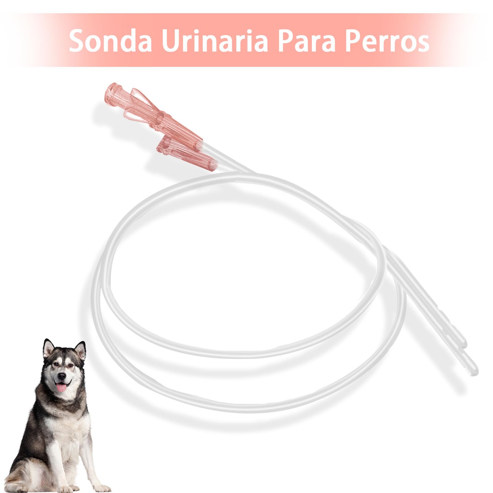 10 catéteres para perros con sonda de dragado uretral urinario de obstrucción de abertura lateral, instrumento veterinario (1,3 x 500 mm)