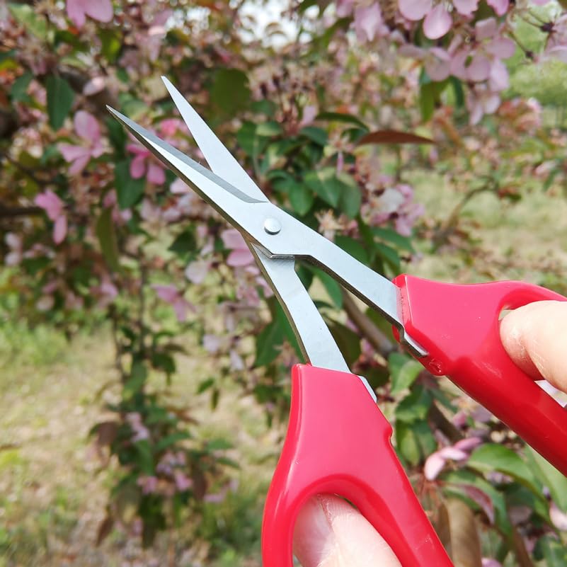 Tijeras de poda ibasenice 6.10 pulg para jardín miniatura 2