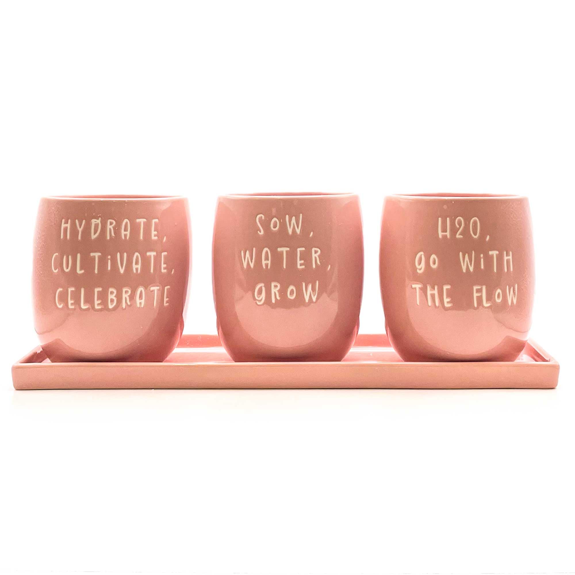 B&Q -  Set Of 3 Pink Slogan Ceramic Planters With Tray