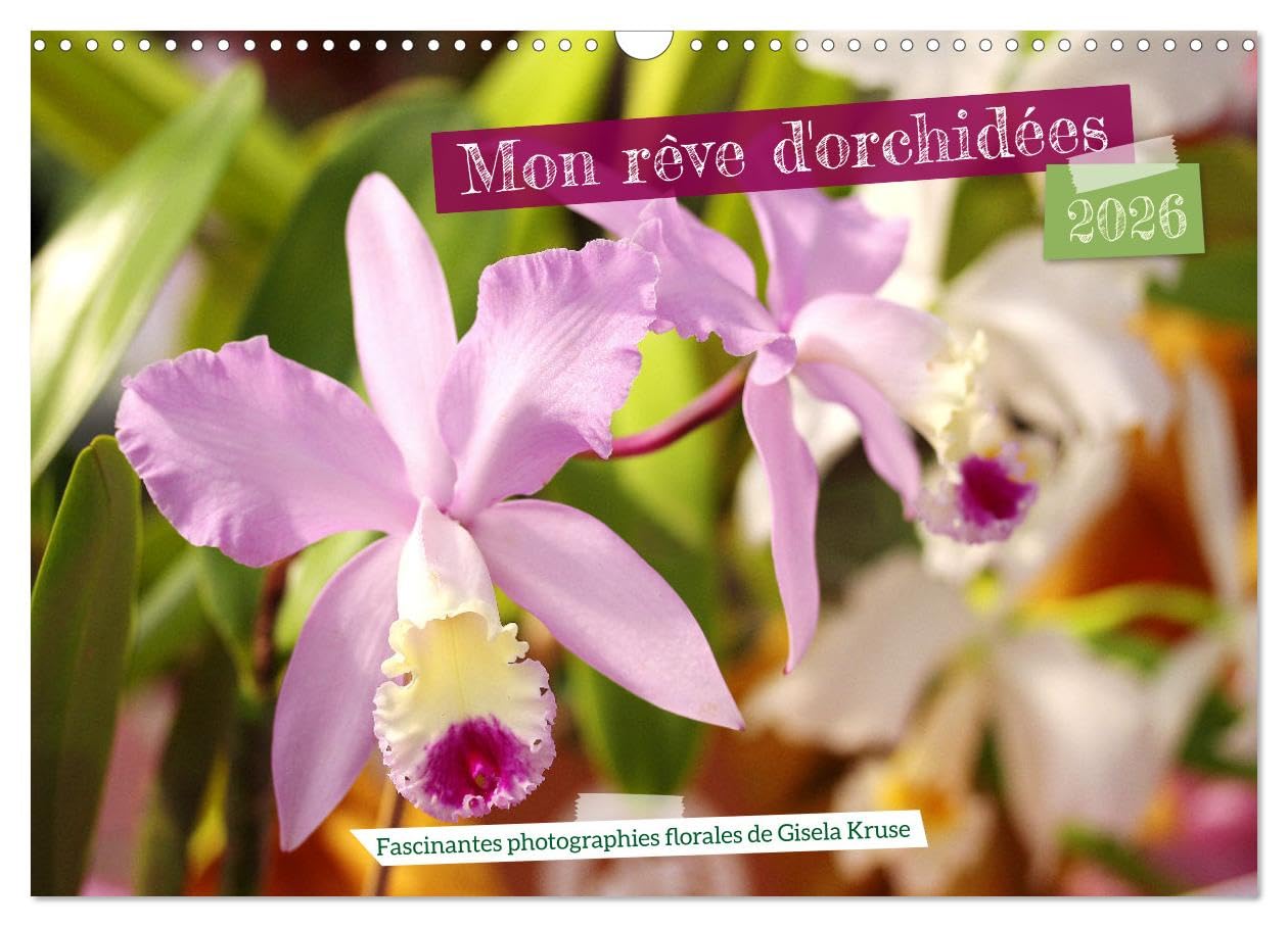 Mon rêve d'orchidées (Calendrier mural 2026 DIN A3 vertical), CALVENDO calendrier mensuel: Des fleurs d'orchidées variées en photographies expressives