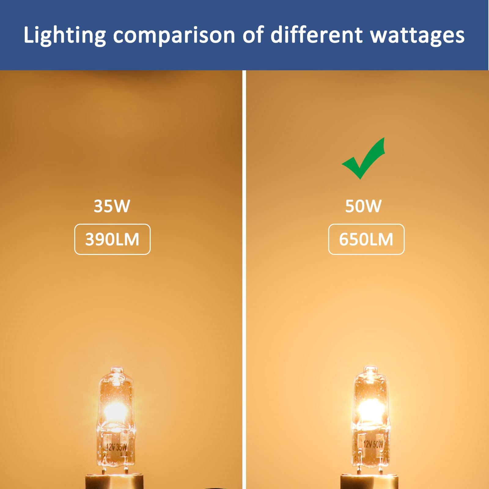 Ampoule Halogène Mazda 091175 – GY6.35 50W 12V – 950 Lumens, 3000K, Fabrication Française