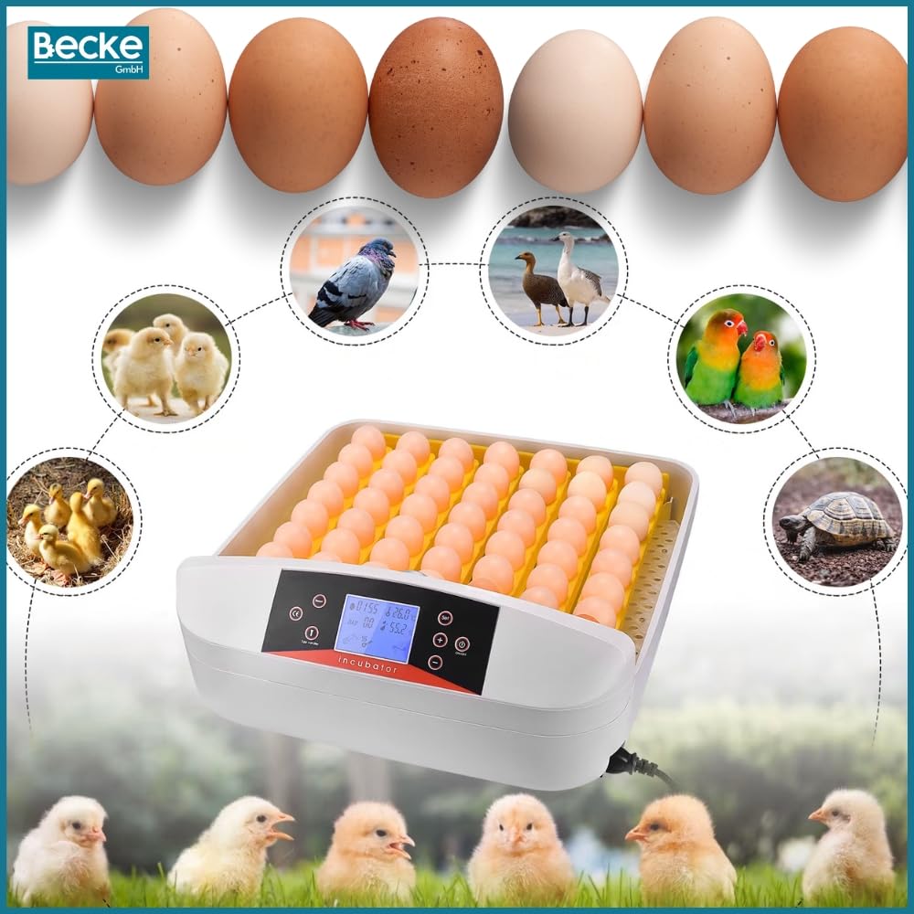 ZOLTA Automatischer Inkubator für 56 Eier LED Ei Tester Temperatur Feuchtigkeitsregler Alarm Hühner Gänse Wachteln Enten Drehfunktion Brutmaschine Brüter Brutkasten mit Display und Zubehör