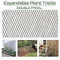 Garden Land Willow Expandable Plant Climbing Lattices Trellis Fence Support 36x92 Inch
