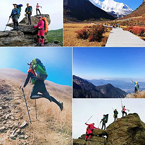 10 Pack Trekking Pole Tips, Hiking Sticks Tips Protectors Fits Most Common Trekking Poles, Hiking Sticks, Nordic Walking Poles #TOP5