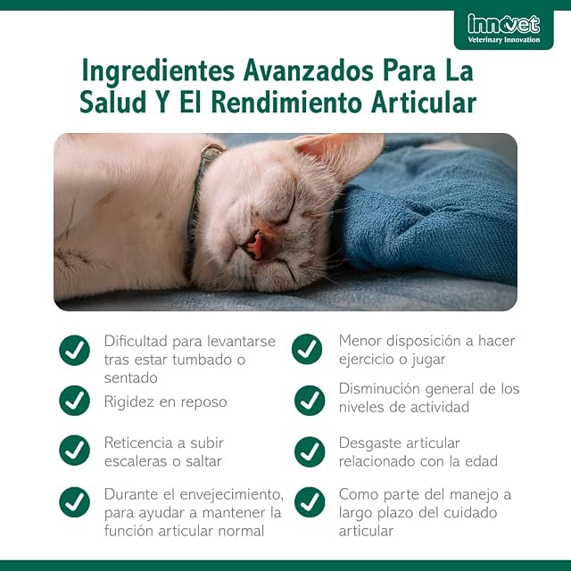 Foto 5 de 8 de Innovet Condrostress Cat Suplemento Articular para Gatos 30 Cápsulas