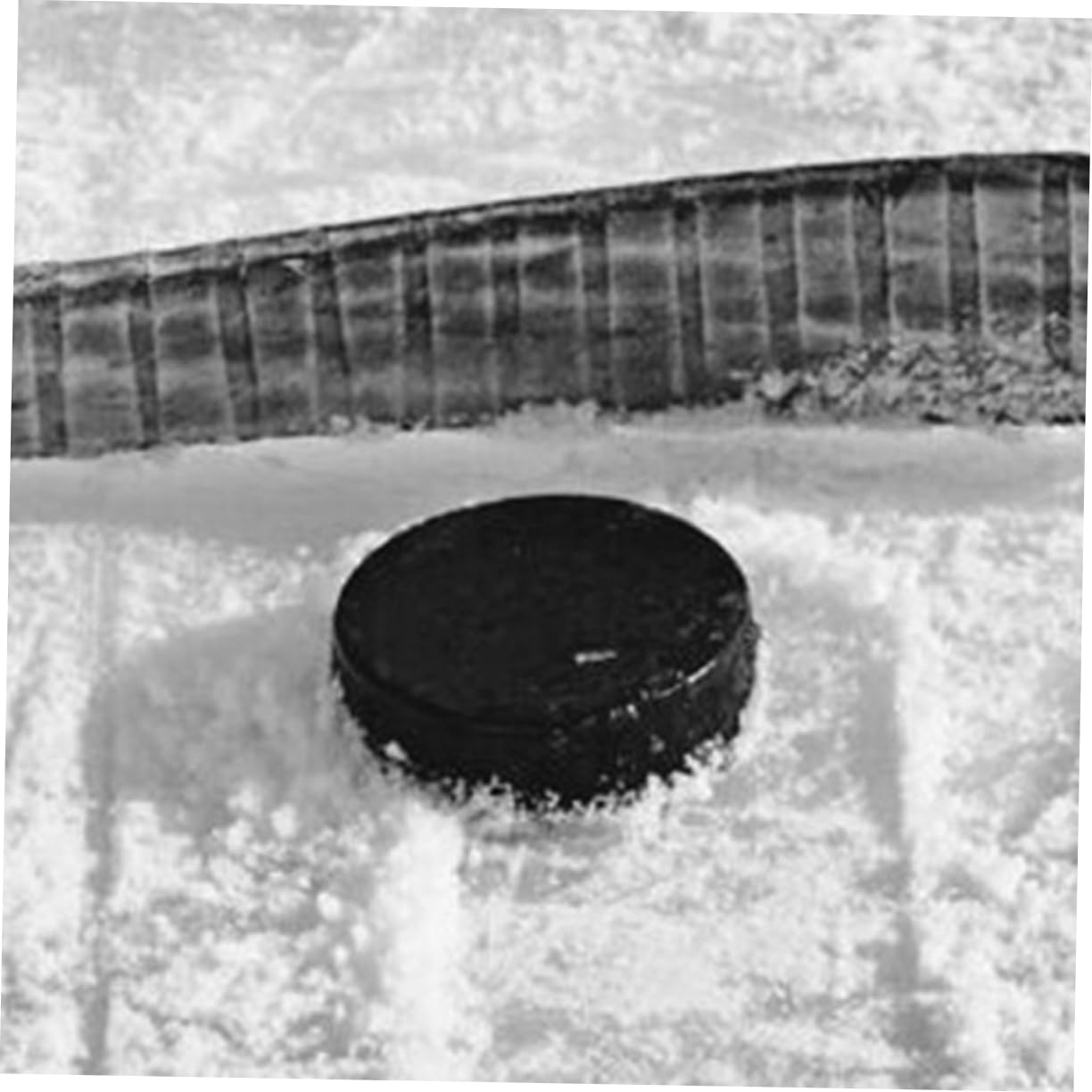 Gogogmee 2Pcs Ice Hockey Puck Multi Function Indoor Training Balls for Adults Durable Smooth Sliding Design for Roller Skating Ice Hockey Practice