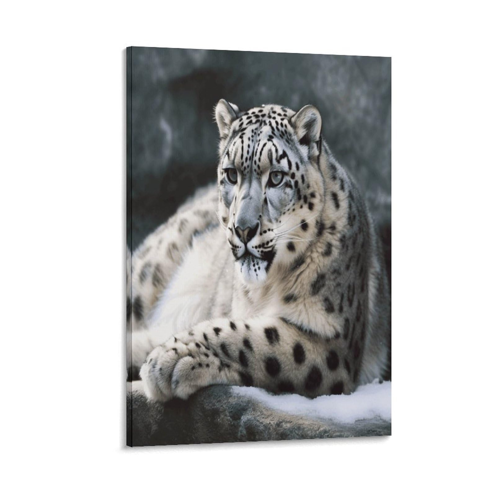 VstaDank Snow Leopard Canvas Wall Art on Canvas Prints Artwork Exquisite Decor Artwork Hang Wall Picture Hangable Decor Painting Picture Printed Poster Art for Home Decor 20x30inch(50x75cm)