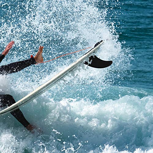 BESPORTBLE Barbatanas de plástico para prancha de surfe para prancha de surf única para prancha de s