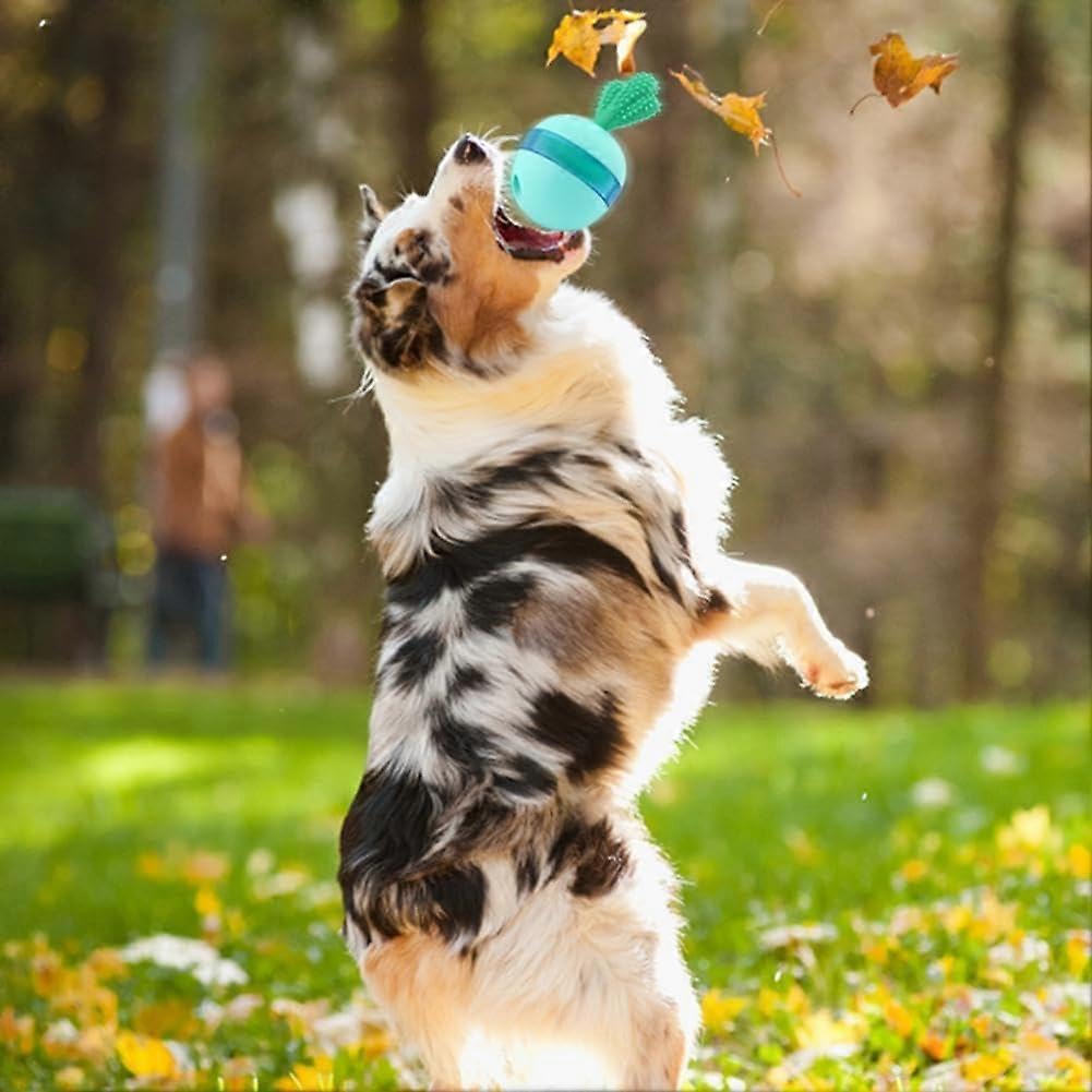 Interaktives Hundespielzeug, verschiedene Funktionen, interaktives Hunde-Puzzle-Spielzeug, Bälle für mittelgroße und große Hunde, Leckerli-Spielzeug, Hunde-Puzzle-Spielzeug, Dura