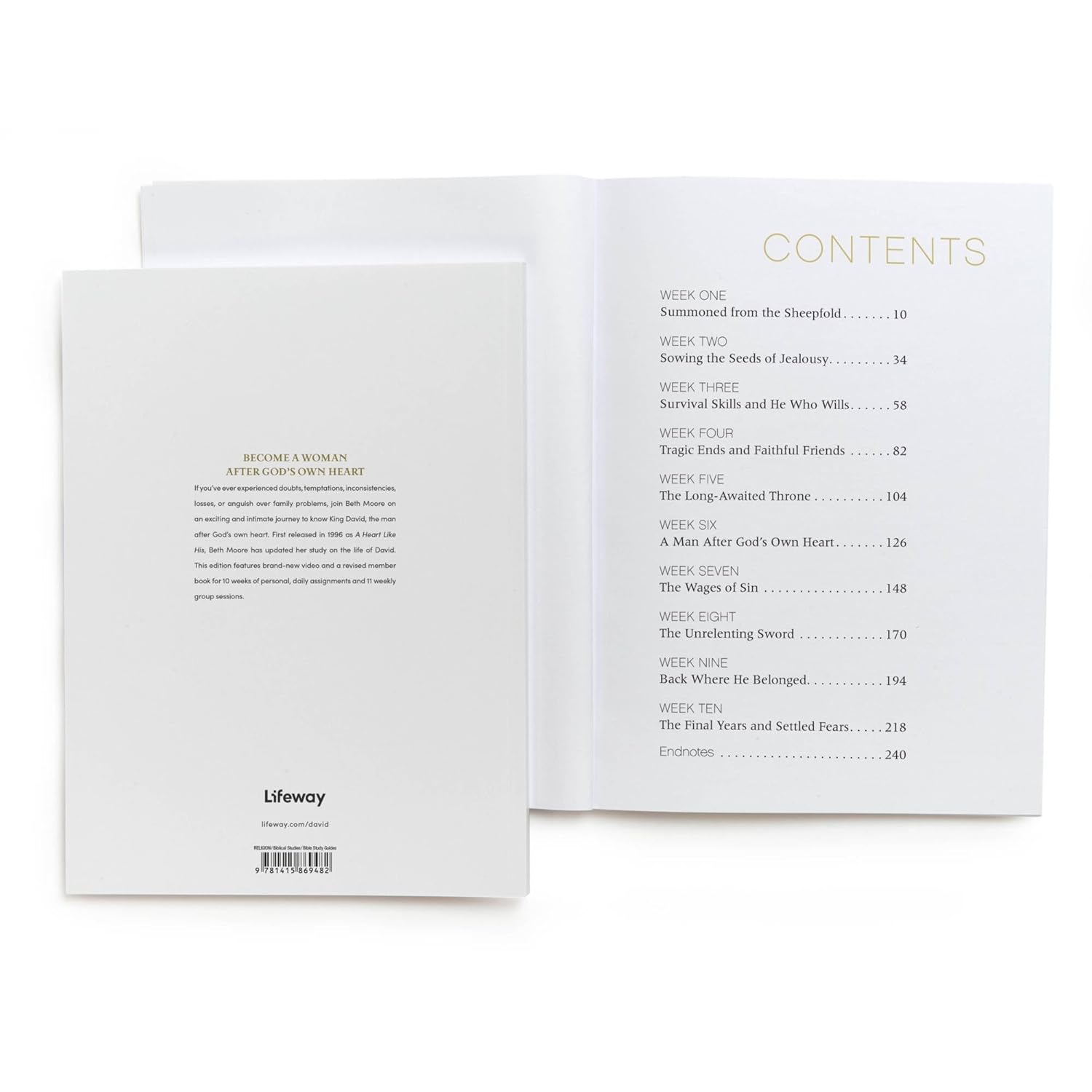 David - Bible Study Book (Updated Edition): Seeking a Heart Like His - Image 3