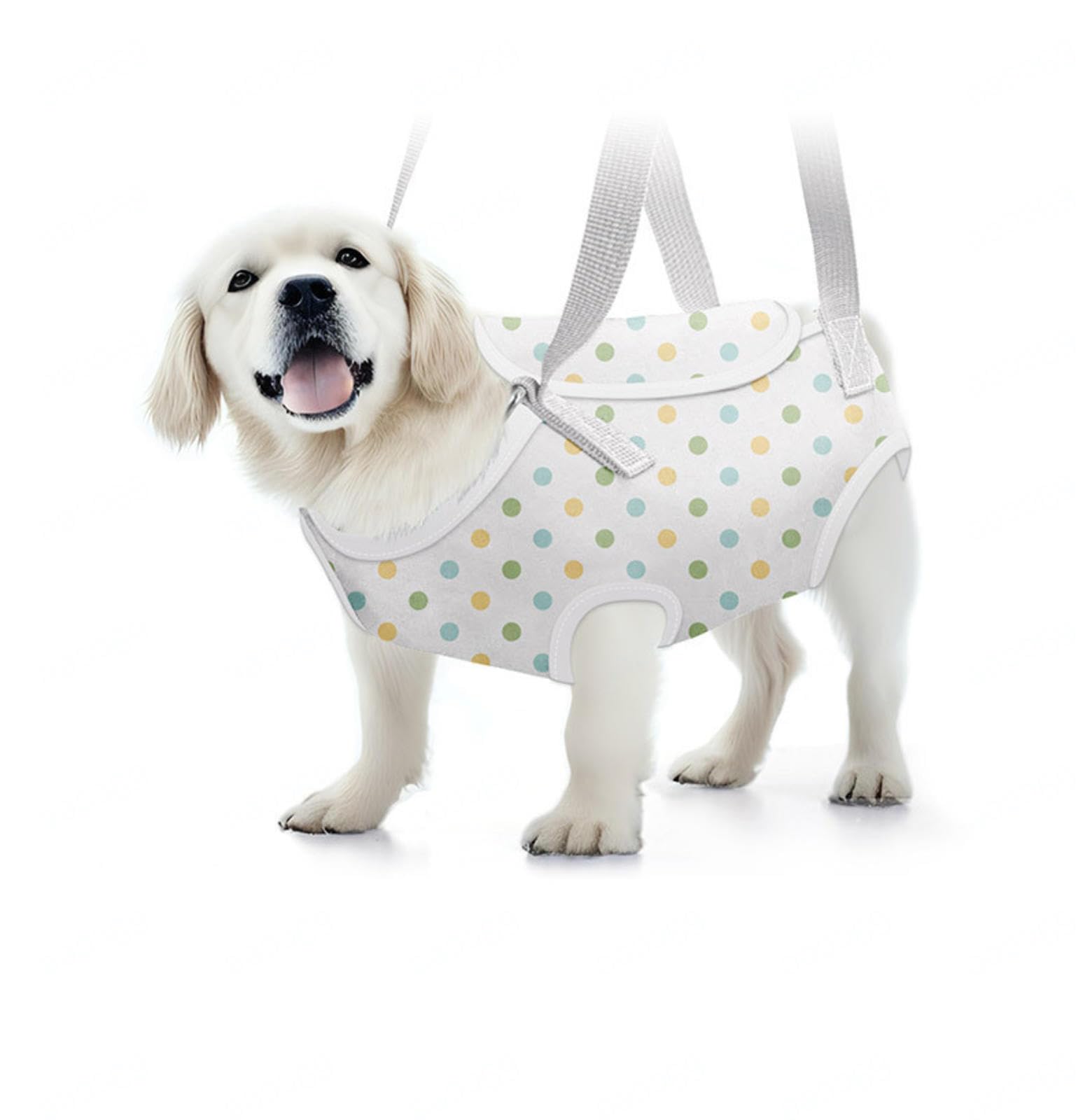 Soft Jacket Step-in-Hunde-/Katzengeschirr und Leine-Set Zum Spazierengehen, Hundegeschirre mit Schnellverschluss für Welpen, Große Katzen, Verstellbar, Leicht,C-S