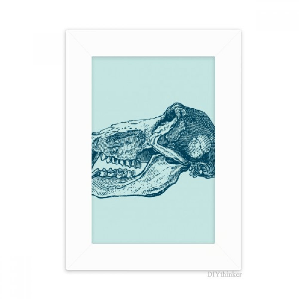 Cadre photo crâne animal blanc peinture art de bureau 10.2x15.2 cm multicolor