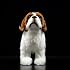 Jouet de peluche pour chien réaliste de Saint Bernard, Simulation debout pour animaux de compagnie 12 pouces Saint Bernard jouet de modèle de chiot pour animal, collection de cadeaux en peluche unique pour enfants anniversaire, décoration intérieure