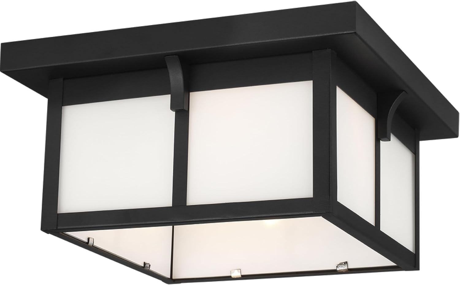 Generation Lighting 2-Light Tomek Flush Mount Outdoor Ceiling Lamp Black 7852702-12, Flush Mount Ceiling Light Fixture for Home Decor, Farmhouse Outdoor Light Fixture Can Use LED Light Bulbs