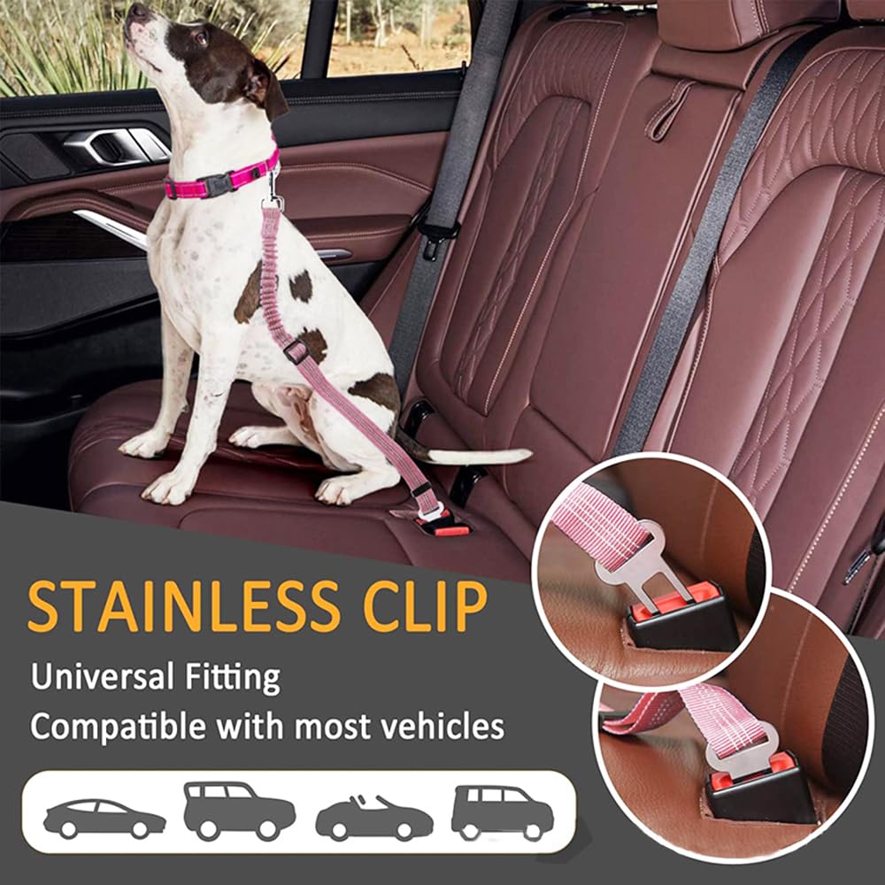 Laisse Élastique Réglable Ceinture Sécurité Voiture Chien Harnais Ajustable Protection Automobile Animaux Compagnie Nylon Résistant Boucle Robuste