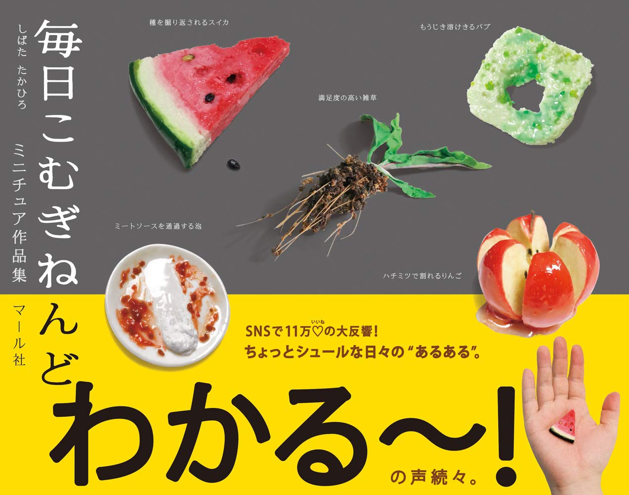 毎日こむぎねんど しばたたかひろ 本 通販 Amazon