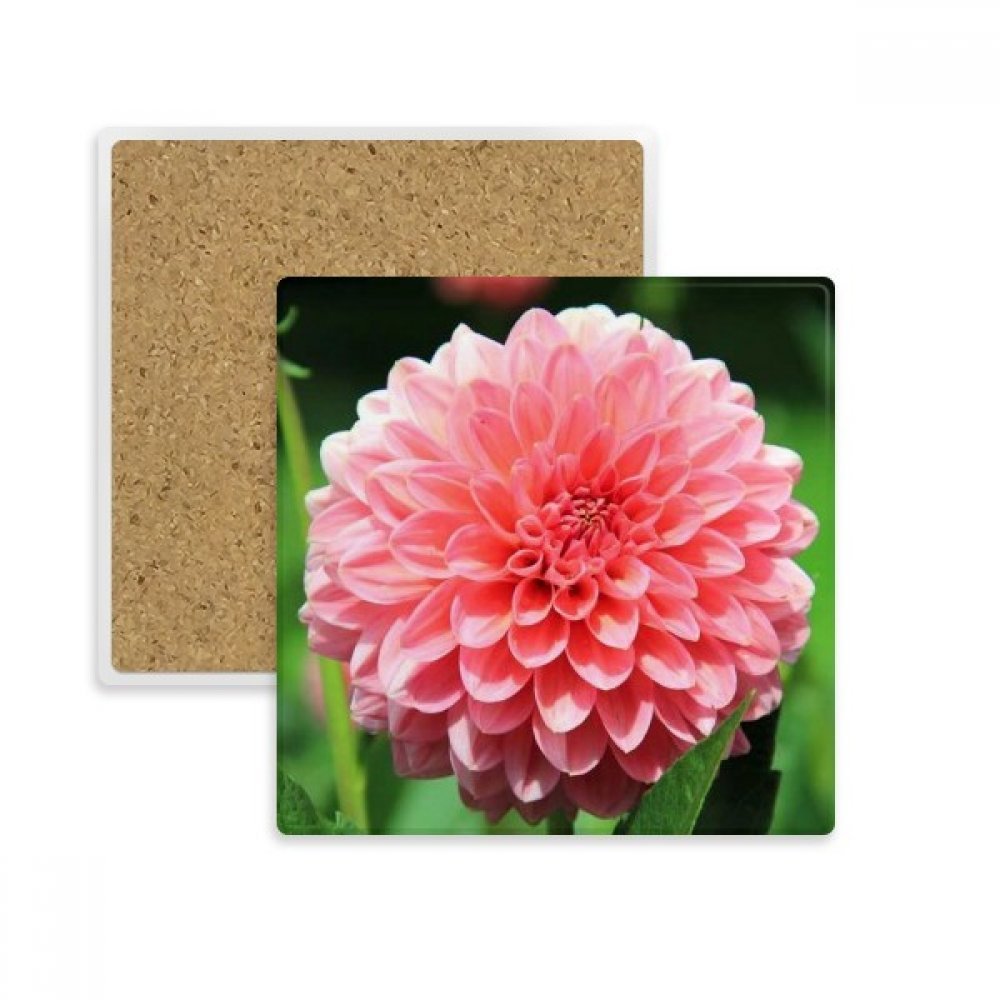 Dessous de verre absorbants motif fleur de pêcher idée cadeau
