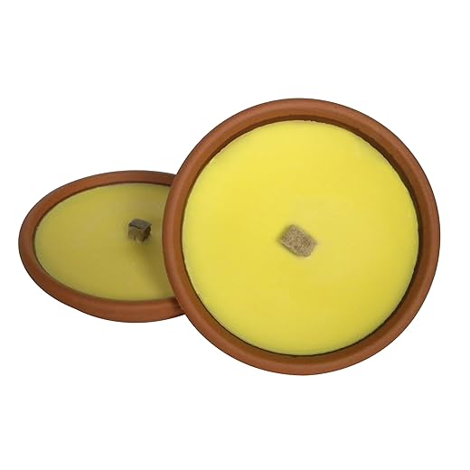 Terracotta Citronella Torch Ø 17 cm - Burn Time 7.5 Hours - Yellow Wax | Cereria di Giorgio - Ideal for Outdoor and Events - Drives Away Insects