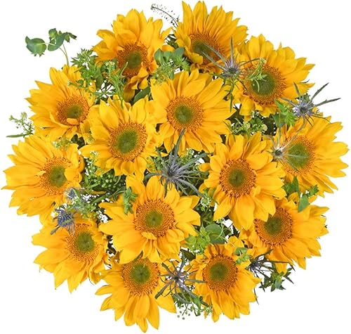 Floral Compass by Nature's Flowers - Mini ramo de girasol mixto - Elegible para Prime, 20 flores frescas cortadas y follaje para entrega