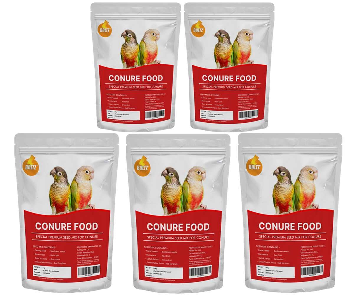 Boltz Best Bird Food for Conures, Natural and Healthy Premium Seed Mix for Conure Parrot, Daily Birds Treat for Conures, Complete Nutrition to All Life Stages (1 KG (Pack of 5))