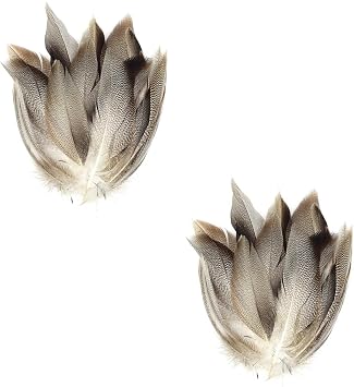 100Pcs Natural Duck Flank Feathers Dry Fly Wings Tails Streamers Fly Tying Material