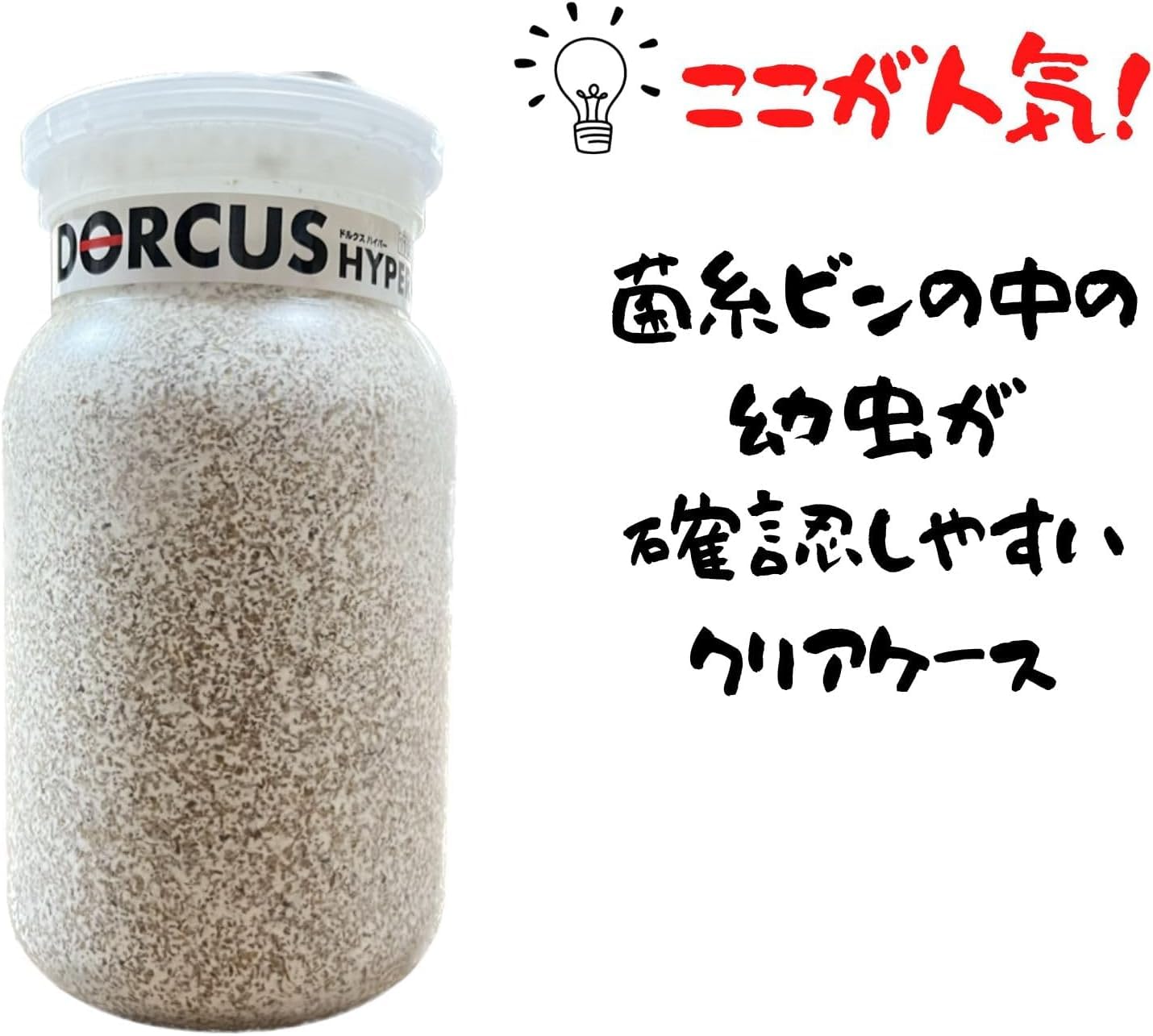 Amazon | 【3個セット】DORCUS 菌糸ビン オオヒラ茸菌 1100cc クワガタ