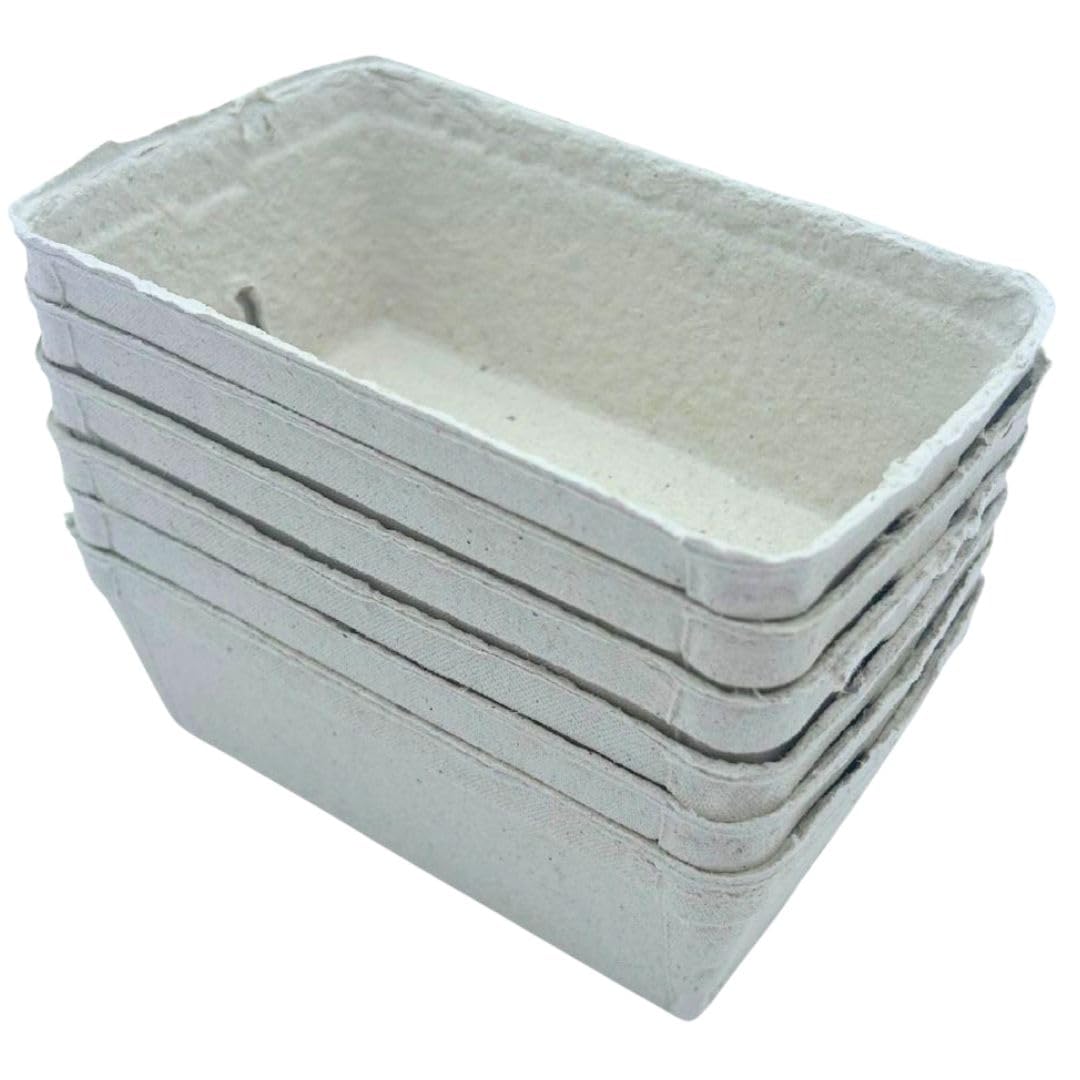 Bramley & Sage 250g Biodegradable Fibre Fruit Punnets (Various Quantities) (25)