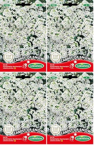 Germisem Carpet of Snow Alyssum Semillas de Flor 0.5 g (EC1501) (Paquete de 4)