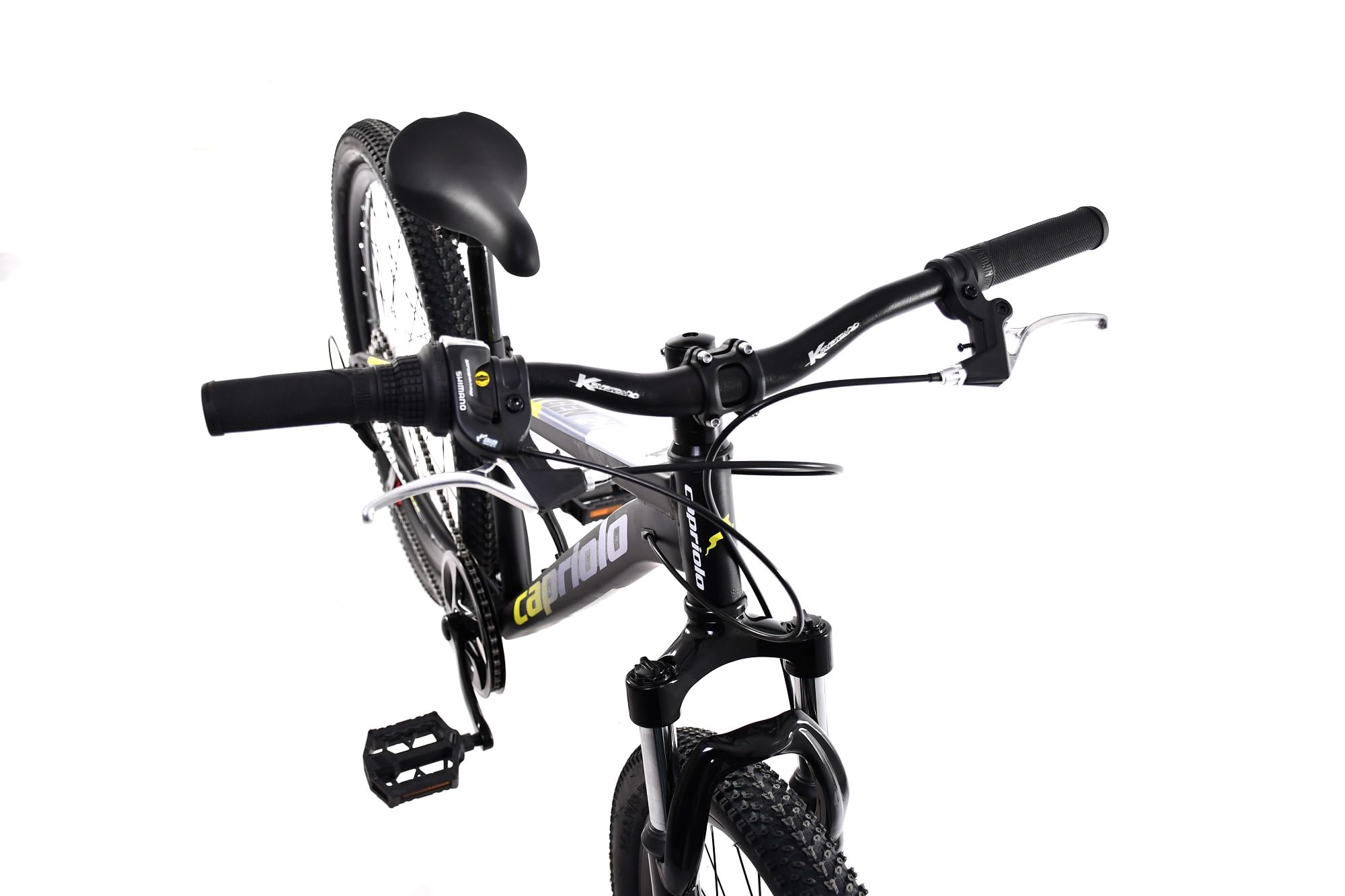breluxx Capriolo Oxygen 2D FS 24 Inch 18 Speed Mountain Bike with Mudguard Black / Blue Sports & Outdoors