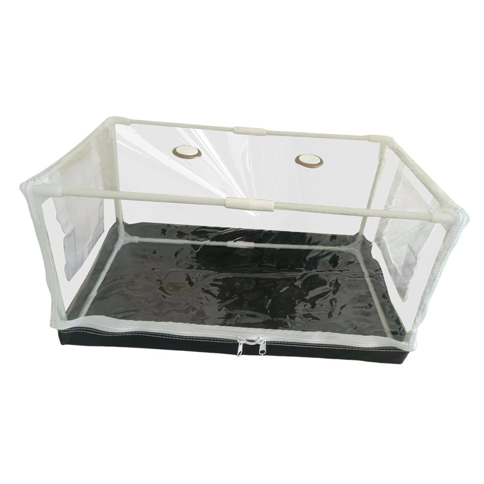 QIXCXAZ Indoor Mushroom Cultivation Kit Versatile Grow Tent Easy Setup Gardening And Plant Lovers Mushroom Growing Tent Also Accommodates Other Plants Such As, Transparent, 80x50x50cm