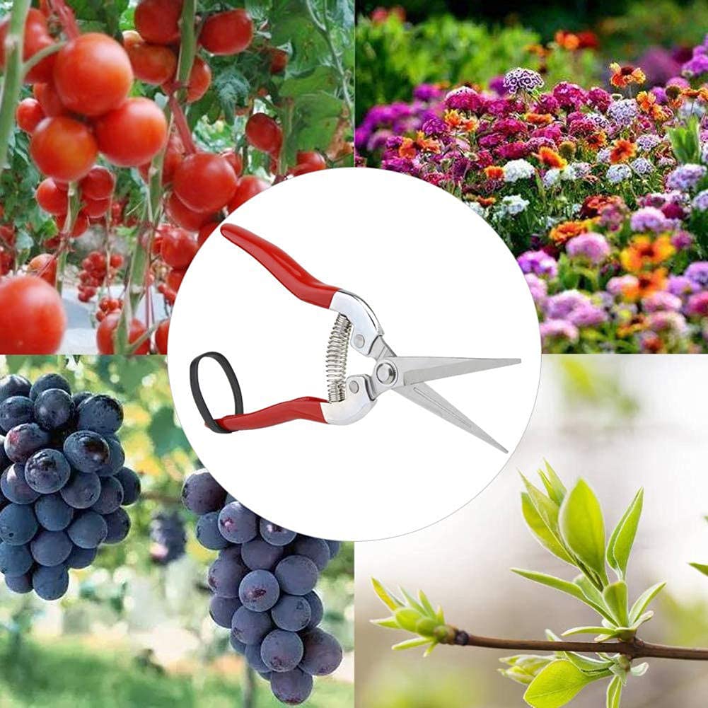Gartenschere, Gartenschere, Gartenschere, Mikro-Spitzenschere, Blattschneider, gerade Floristenschere für Pflanzen