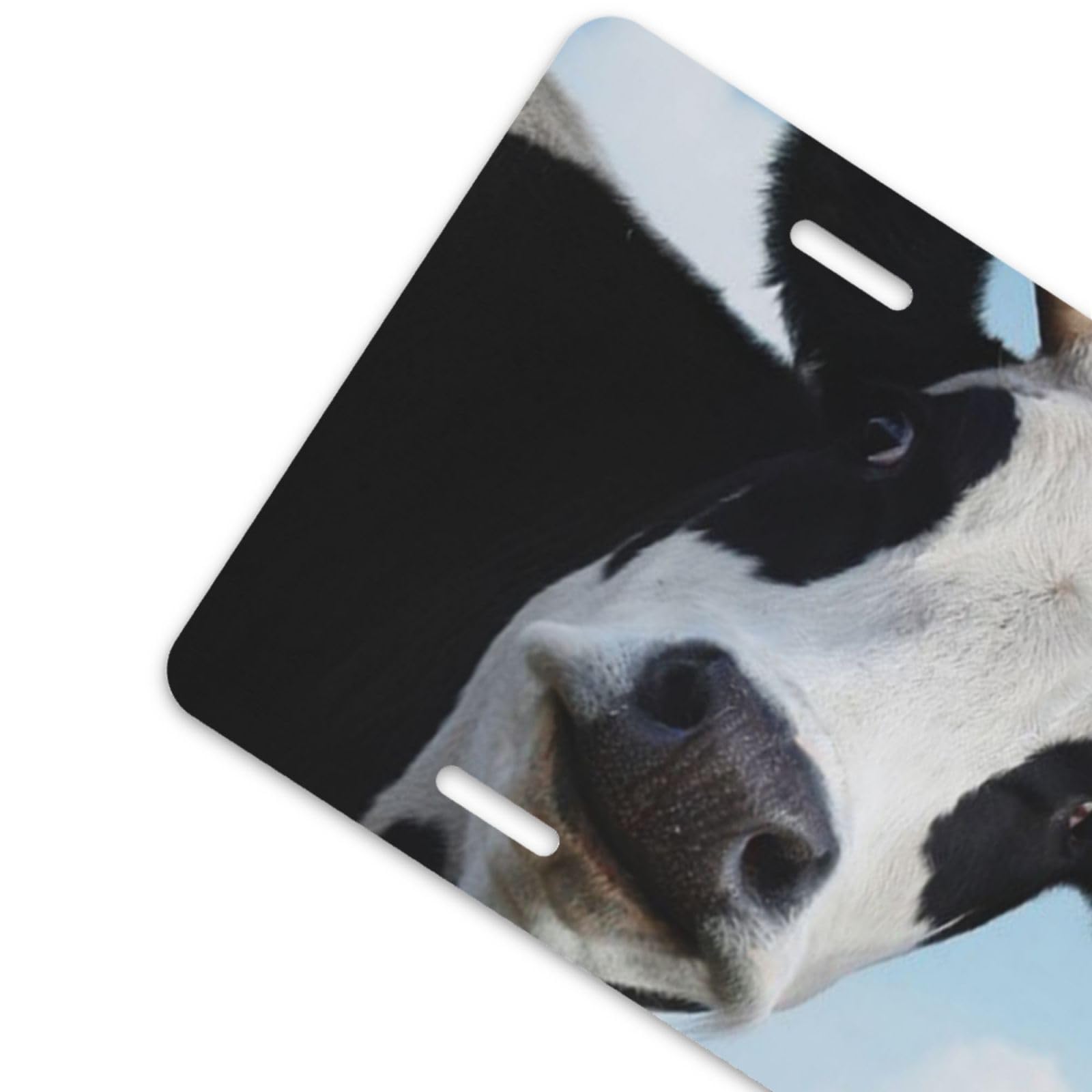 2 Cornici Per Targa Con Stampa Mucca In Alluminio – Portatarga Originali Per Auto, Dimensioni Standard 31x16 Cm, Anticorrosione, Accessori Inclusi
