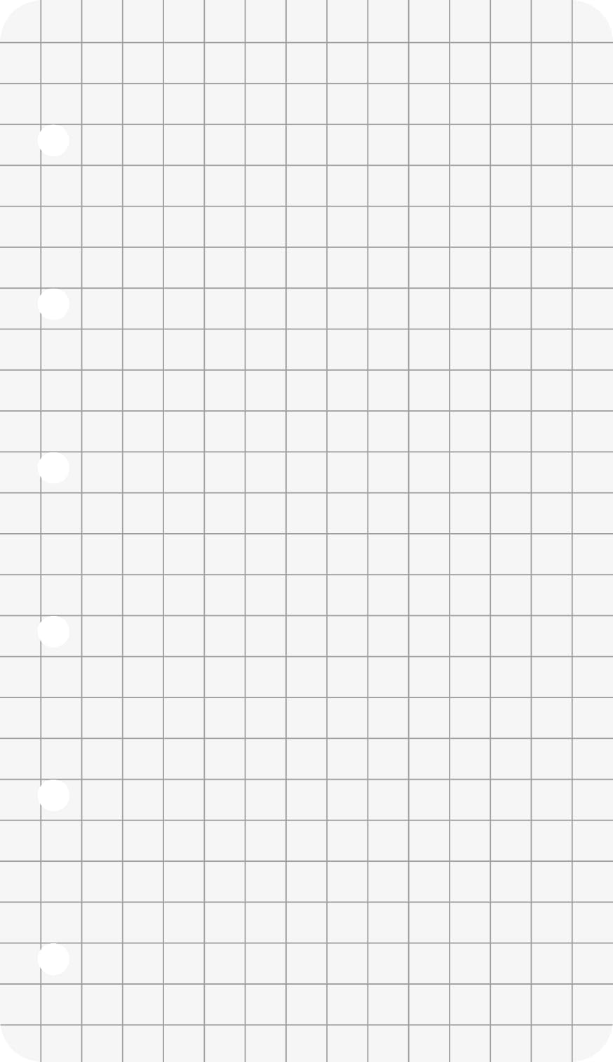 Baier Schneider &Insert Notepad for Use in Ringbinders, 70 g/M ², Multipunched White 50 Sheets Checked