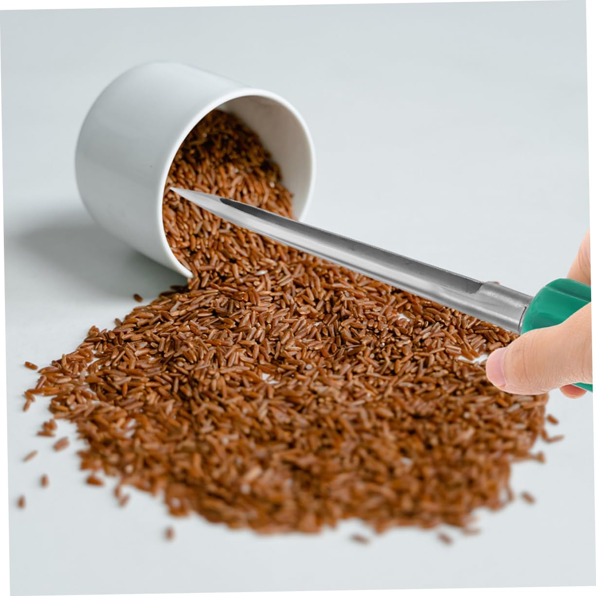 GANAZONO Campionatore Di Cereali in Acciaio Inossidabile 11.81 Pollici Strumento Portatile Per Campionamento Di Mais Grano Analisi Suolo Agricoltura