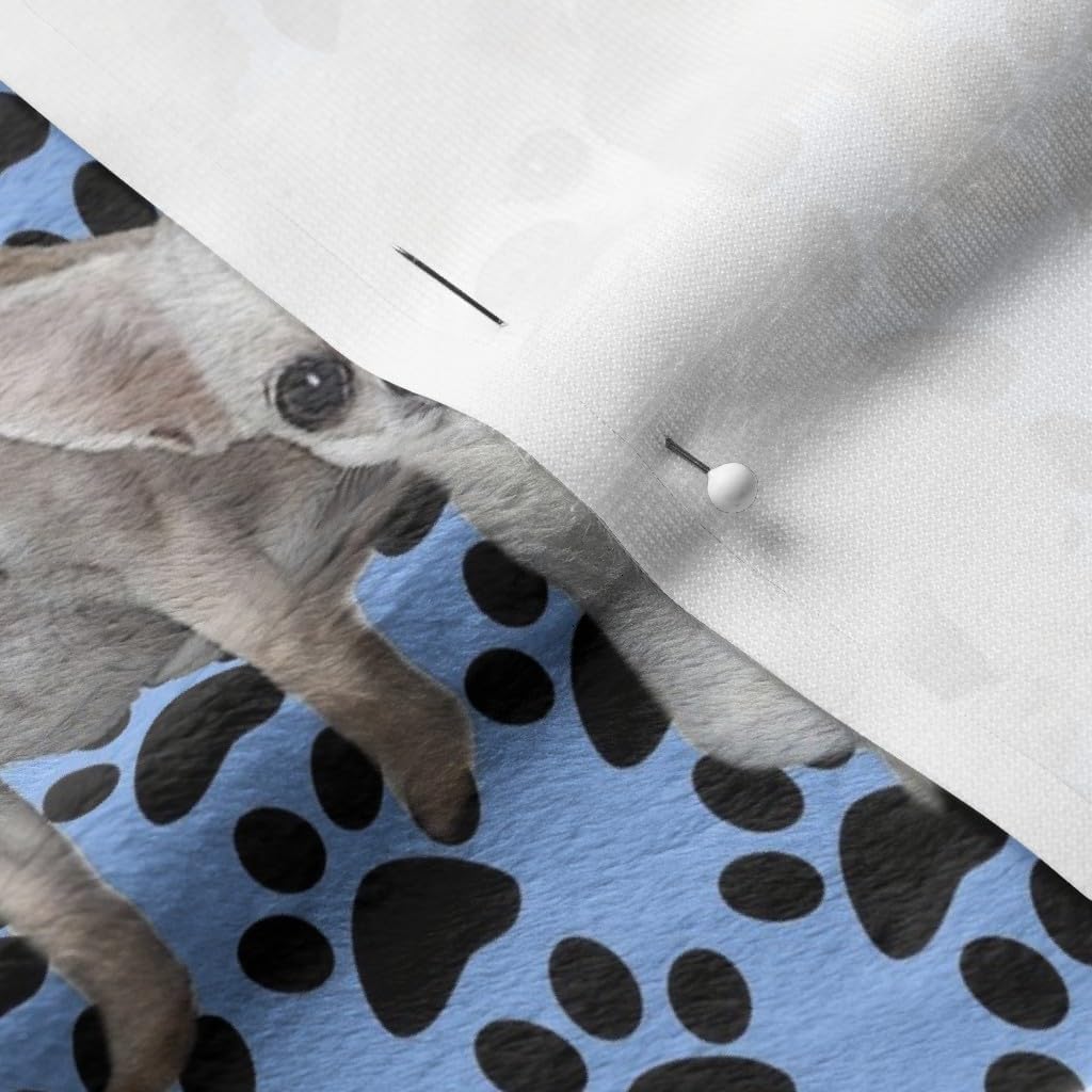 Spoonflower Fabric - Chihuahuas Blue Chihuahua Dog Paw Prints Printed on Minky Fabric by The Yard - Sewing Baby Blankets Quilt Backing Plush