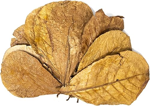 Miniatura 4 de Aquatic Arts Paquete combinado botánico de catapa hojas de almendras indias  corteza de catappa  fruta de catapa botánicos de acuario y arena de