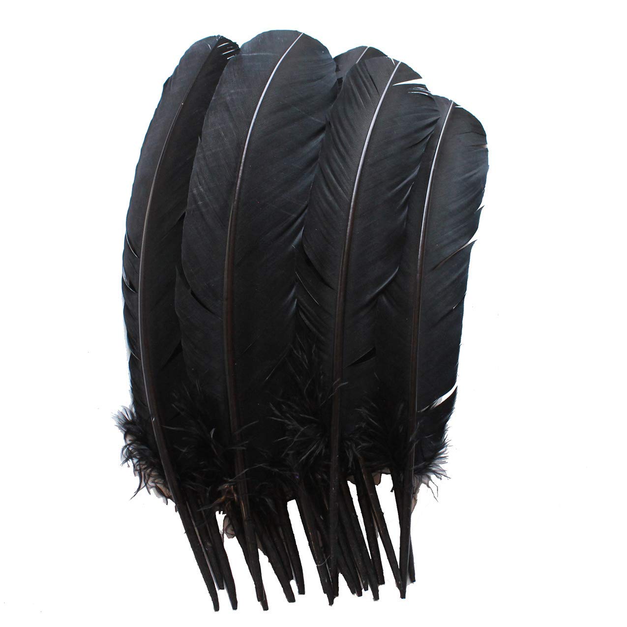 TIPTOP DECORATION Natural Dyed Goose Quills 12-14 Inch (5 Pieces) (Black) 3