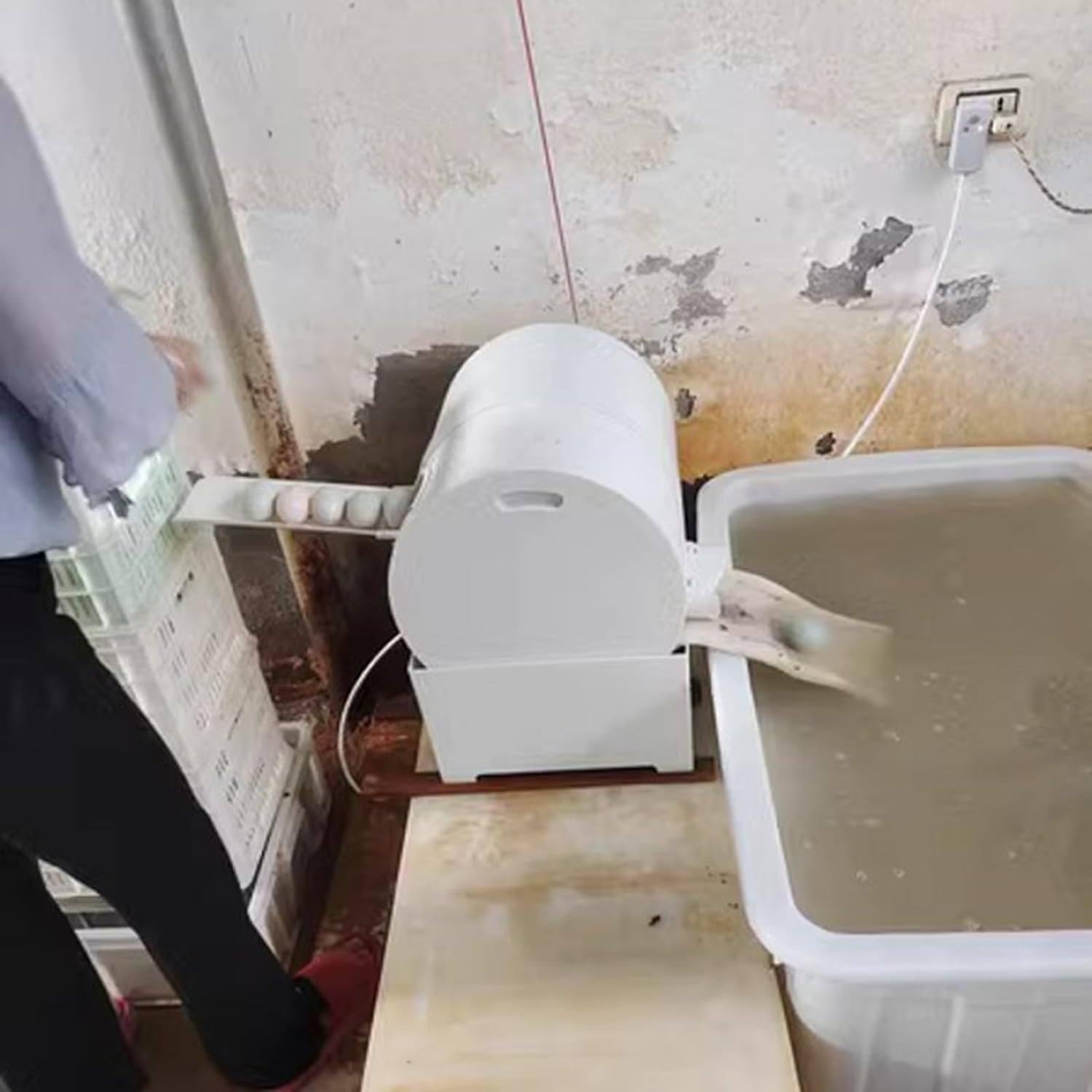 Lavadora de Huevos eléctrica, Lavadora de Huevos de gallina Pato Ganso, para criadores y Granjas