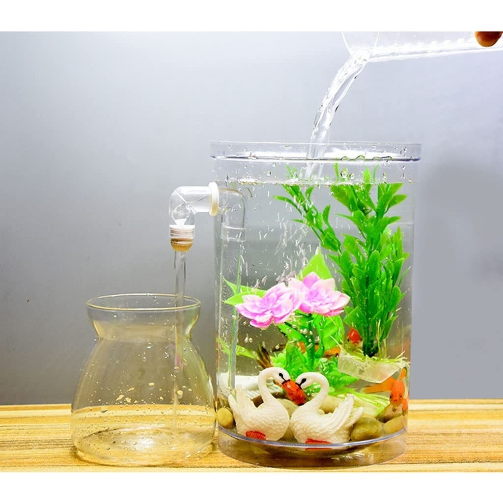 Amazon.com: RENEESME Fish Tabk Creative Desktop Transparent Resin