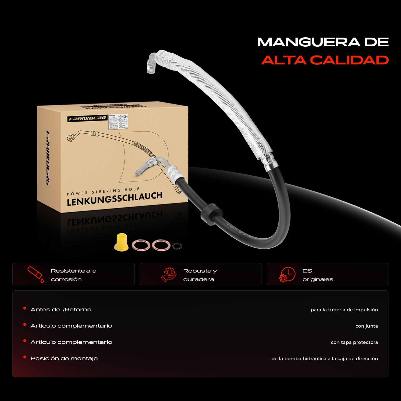 Frankberg Manguera de dirección asistida gasolina 1634604224