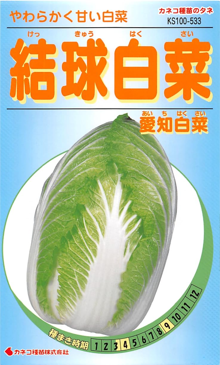 Amazon | カネコ種苗 園芸・種 KS100シリーズ 結球白菜 愛知白菜 野菜