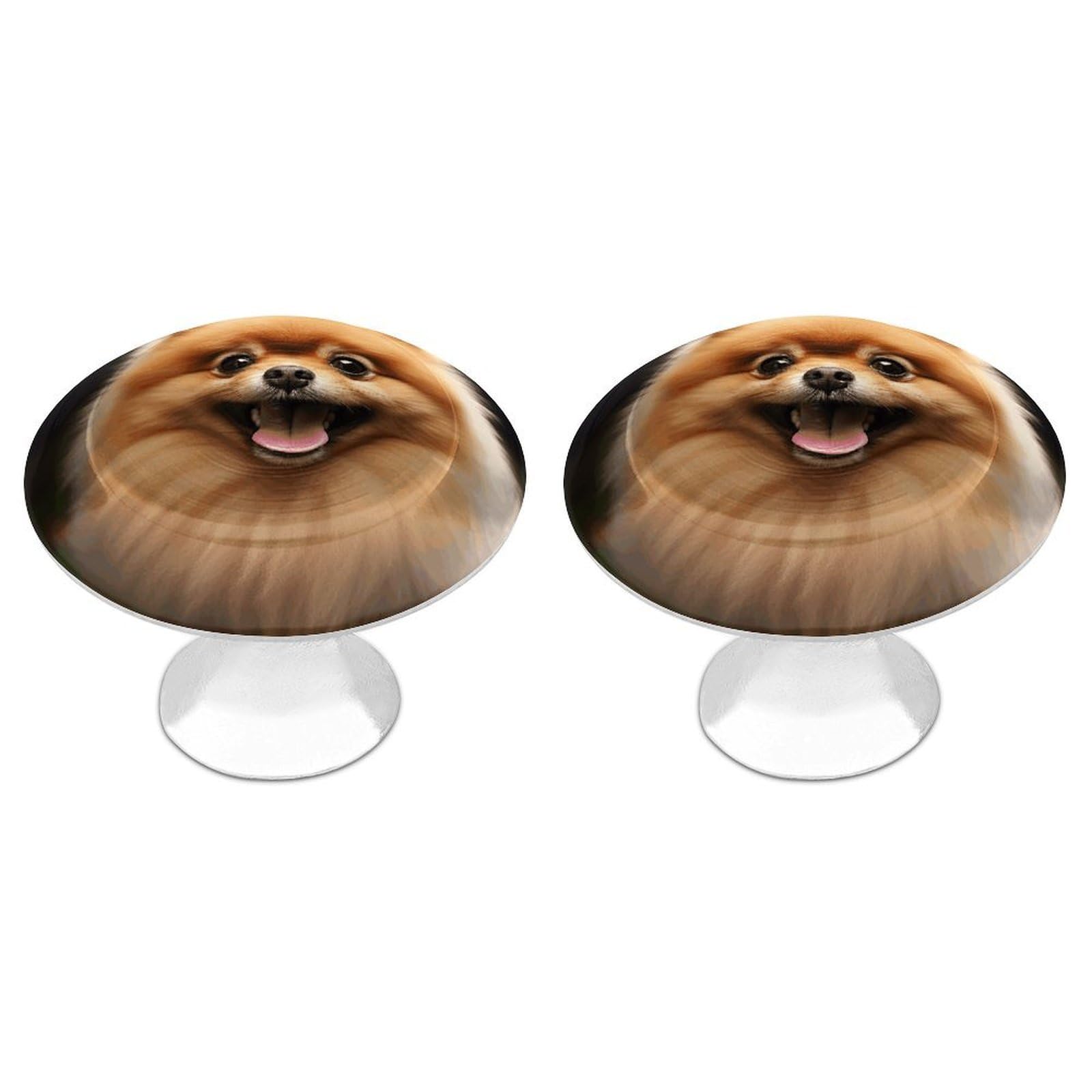 Vstadank Style Pomeranian Drawer Pulls Sturdy Stainless Steel Door Handle Round Cabinet Knobs Fashion Dresser Drawer Knobs Door Pulls Exquisite Cabinet Handles Furniture Pull 2Pcs