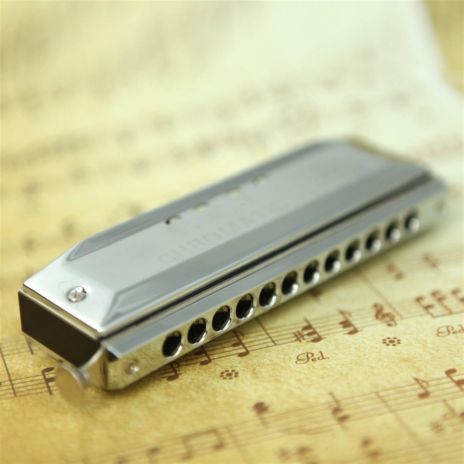 Armonica Cromatica A 12 Fori 48 Tone C Key Harmonica Strumento Musicale A Fiato Con Custodia Armonica Strumento Musicale