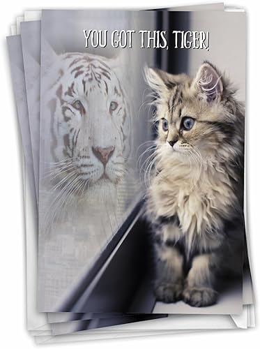 NobleWorks Paquete de 3 tarjetas de felicitación de amistad con sobres (1 diseños, 3 cada uno) Aspiraciones C7076JFRG-C3x1