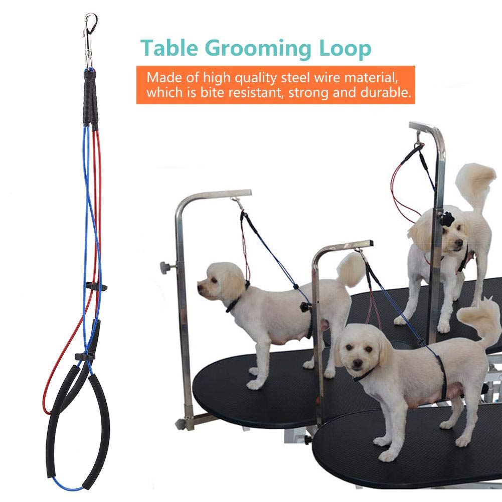 Dog Grooming Loop, Dual Noose NoSit Neck and Haunch Holder Wire Safety