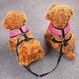 CozyCabin Dual Durable Dog Leash Strap No-Tangle for 2 Dogs Cats Small Pets for Walking Running and Training (Nylon,Black) (M)