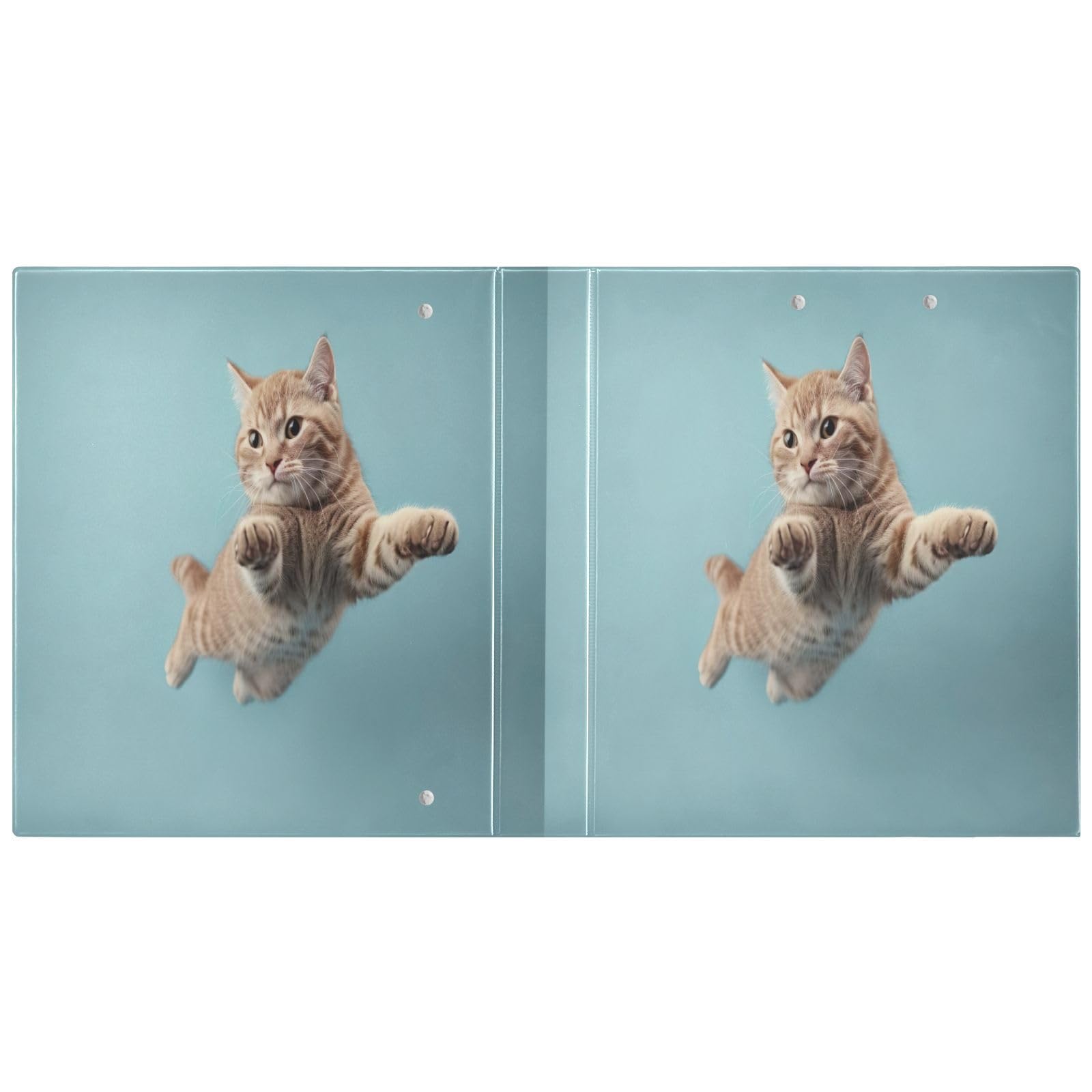Funny Cat Cute Kitten Blue Three Ring Binder 3.8 cm D Ring Binder with Pockets Decorative Binders for School College or Office (2 Pack)